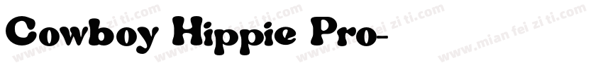 Cowboy Hippie Pro字体转换
